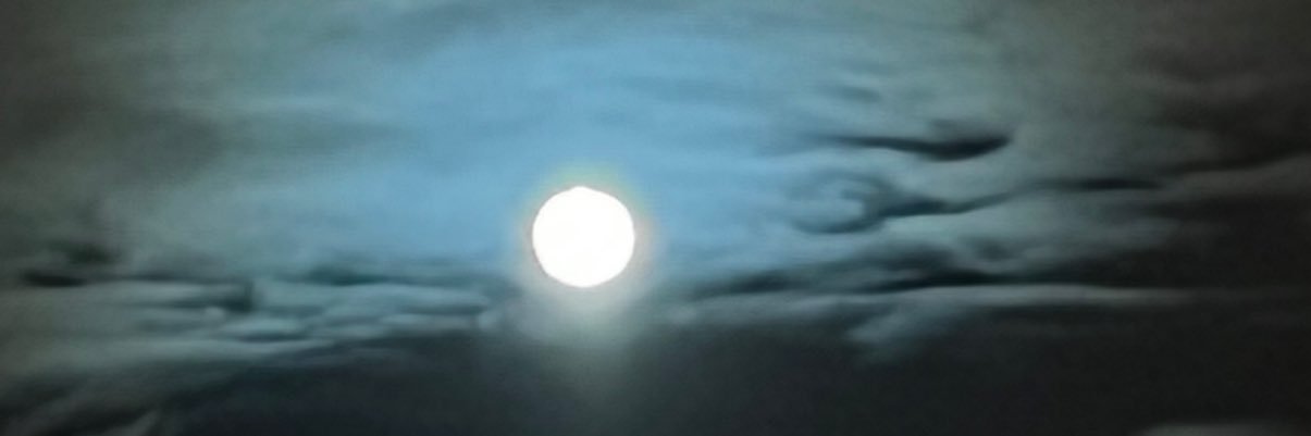 GradedMantis's profile banner image