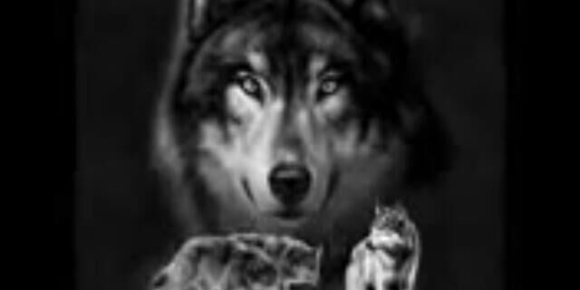 telefon112297's profile banner image