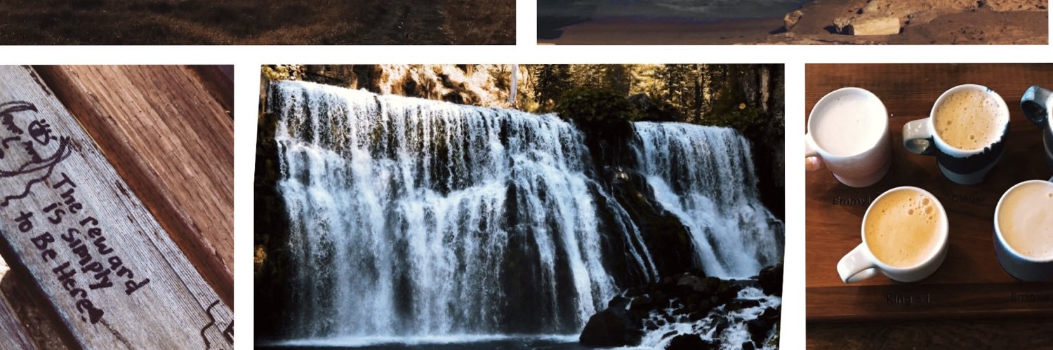 desireebounds's profile banner image