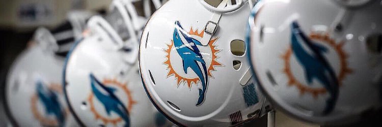 Jenn 🧡🐬🤍 banner