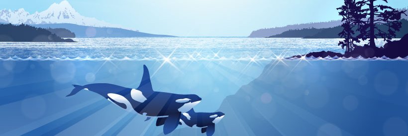 Georgia Strait Alliance banner