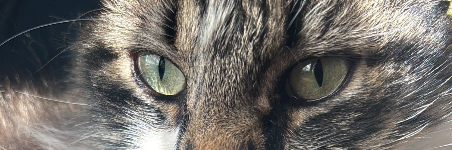 Vusrro's profile banner image