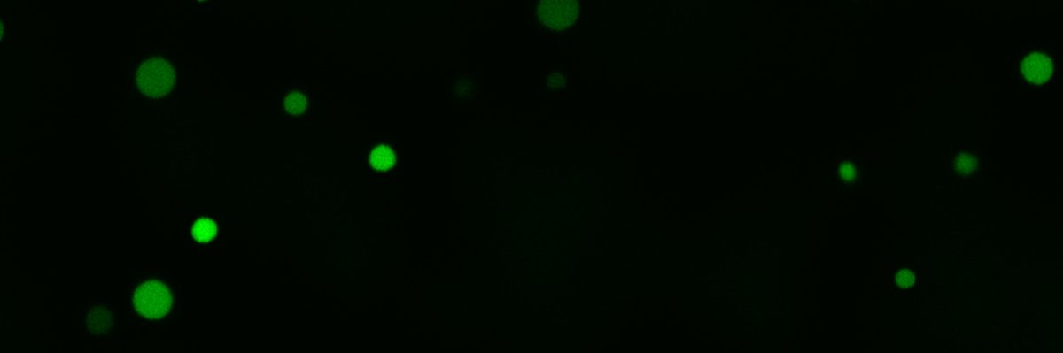 Raghav Poudyal banner