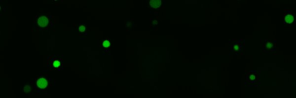 TheJoyofScience Profile Banner