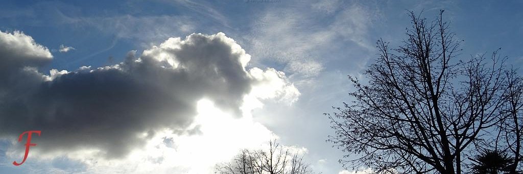 femoree1's profile banner image
