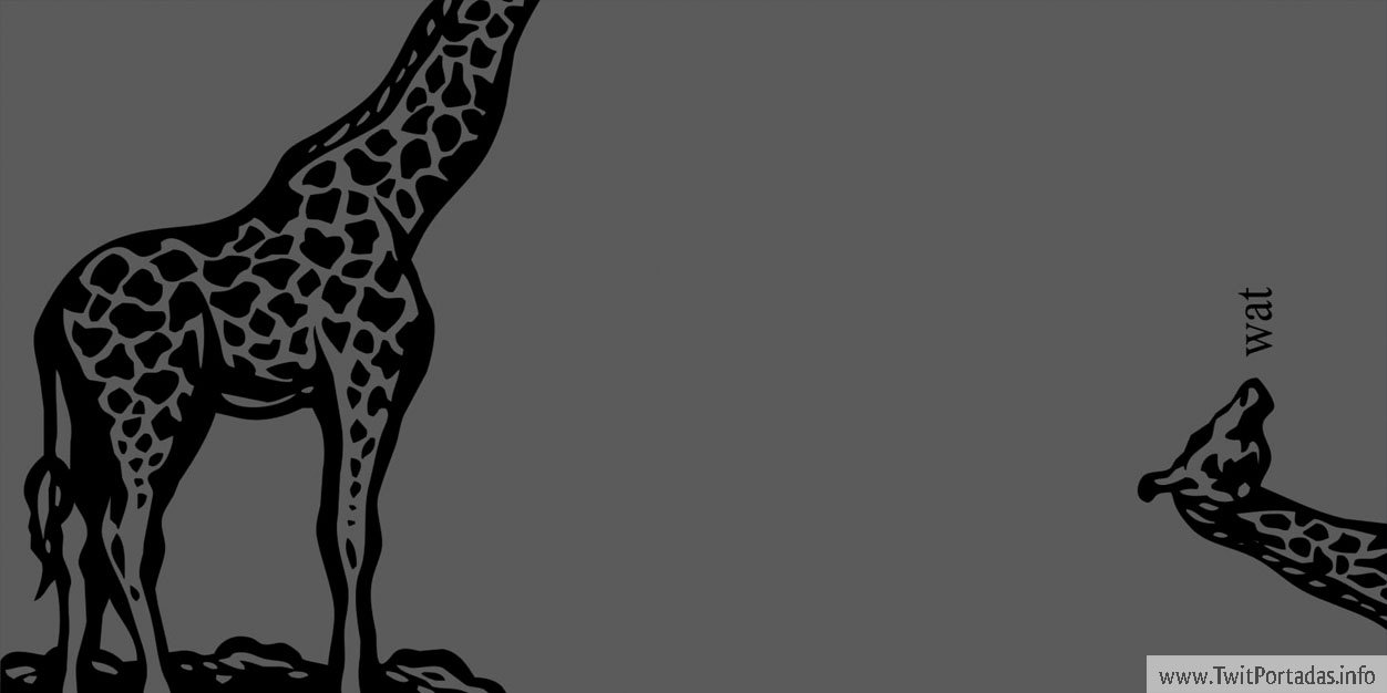LettyCarrillo_'s profile banner image