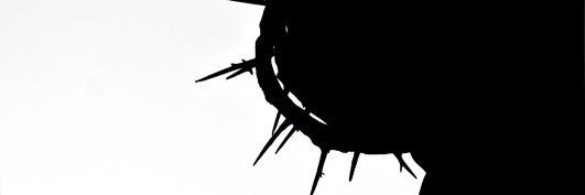 Syas1025's profile banner image