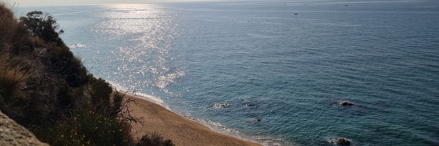 jmt0201's profile banner image