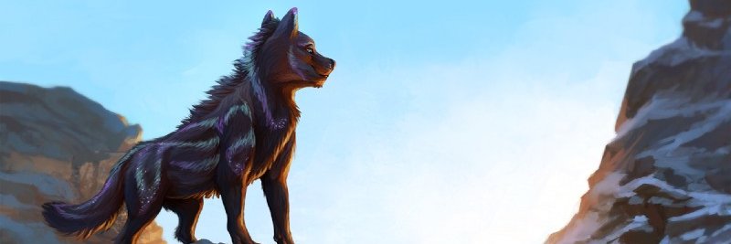 sfowler2012's profile banner image