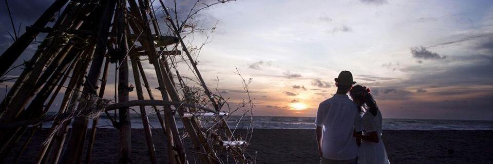 tapezelo's profile banner image