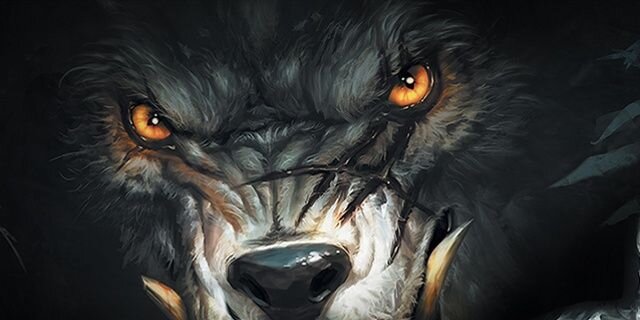 wolffi529's profile banner image