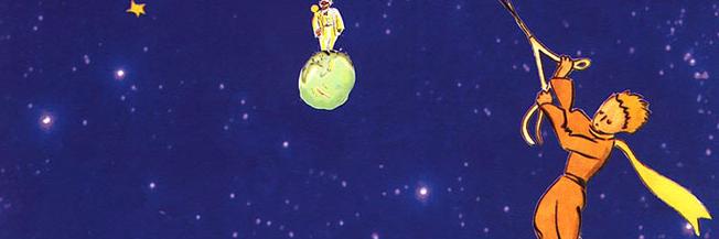 Danielle Frizziola banner