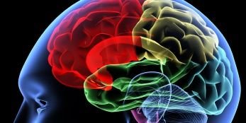 RichMindHub's profile banner image