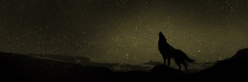 1actiondjack's profile banner image