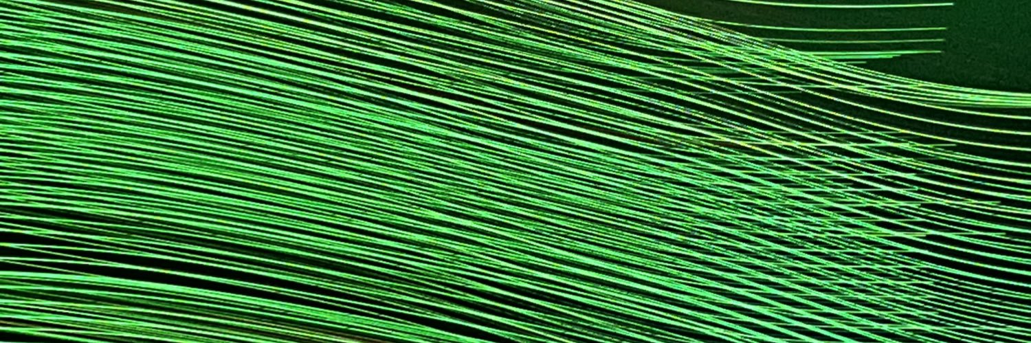🍀 banner