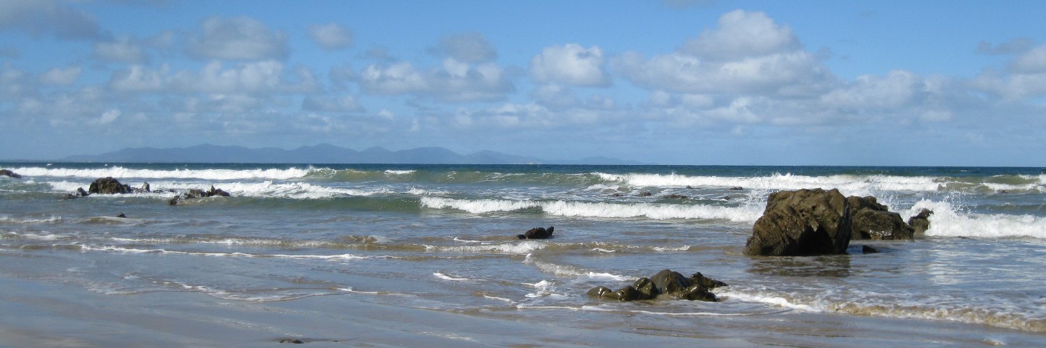 tsellman's profile banner image