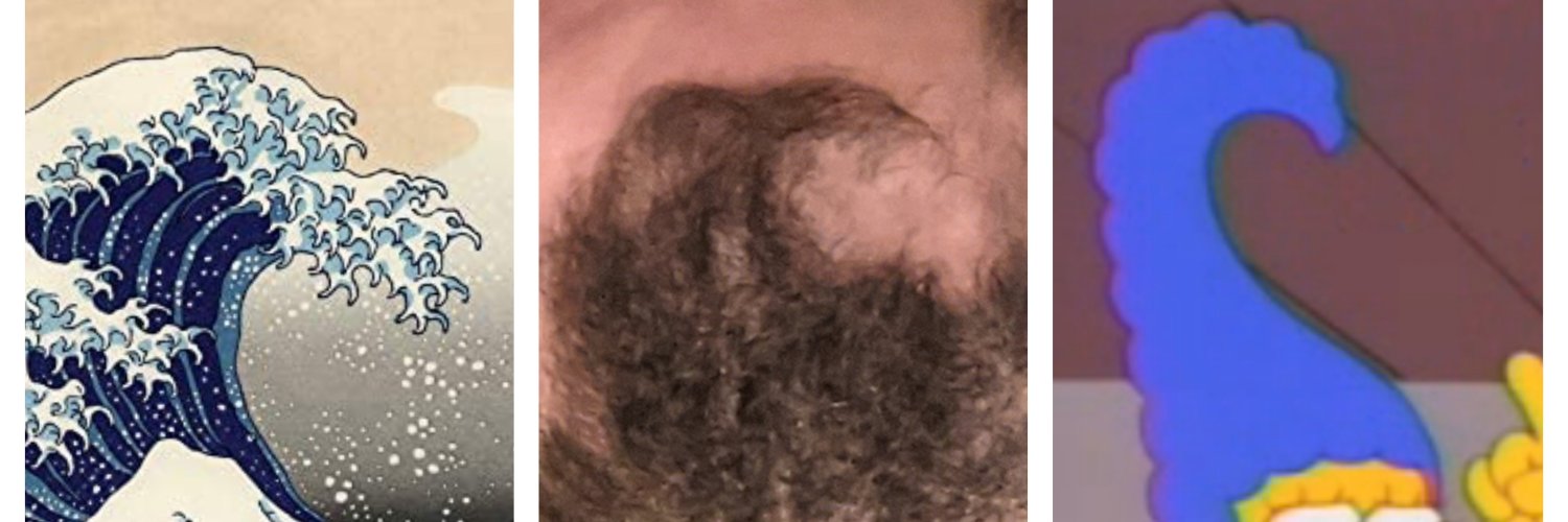 Shannon Shart banner