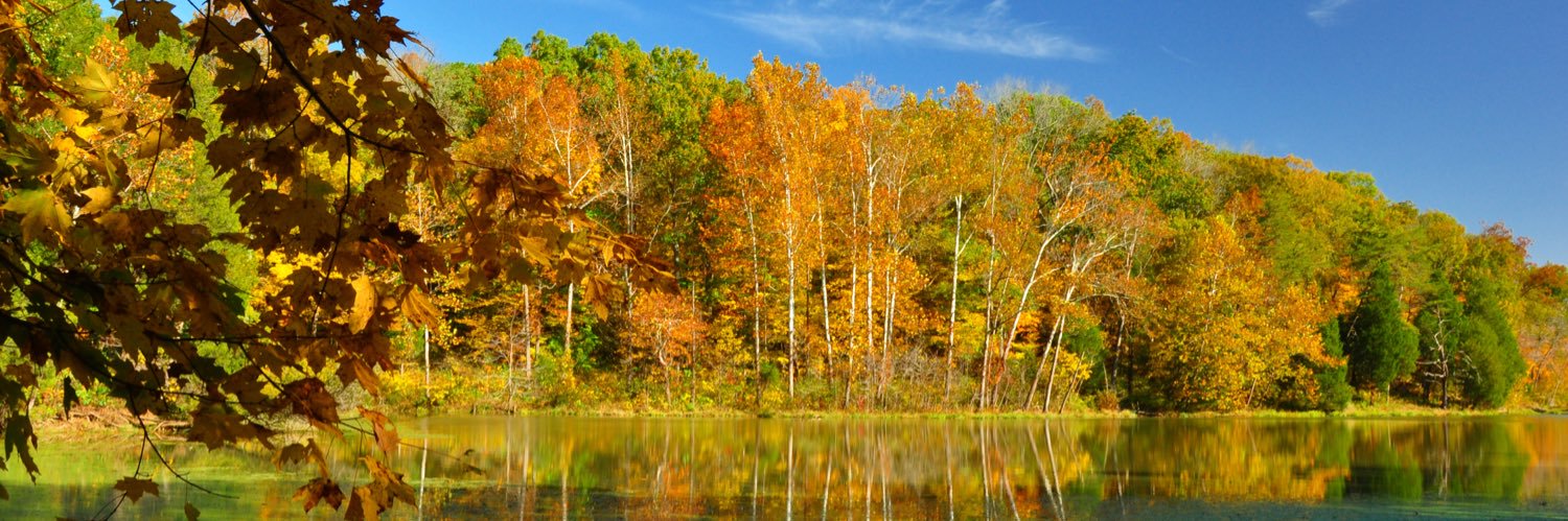 Katherine Rodeghier banner