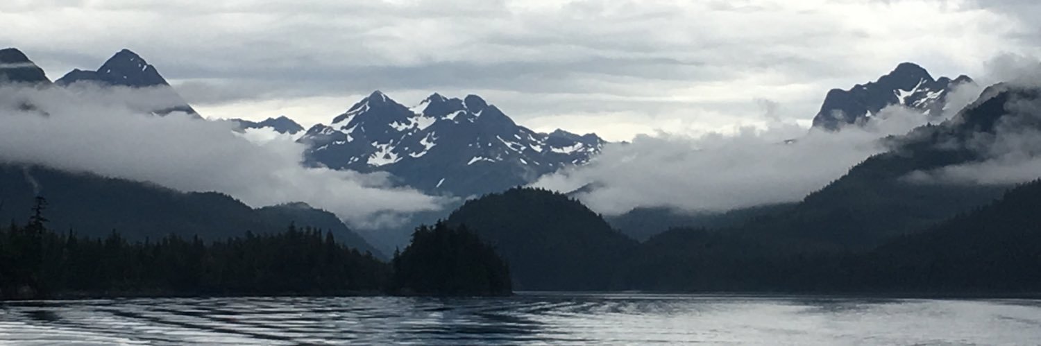 EvanTheZane's profile banner image