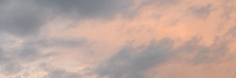 hardin_grace's profile banner image
