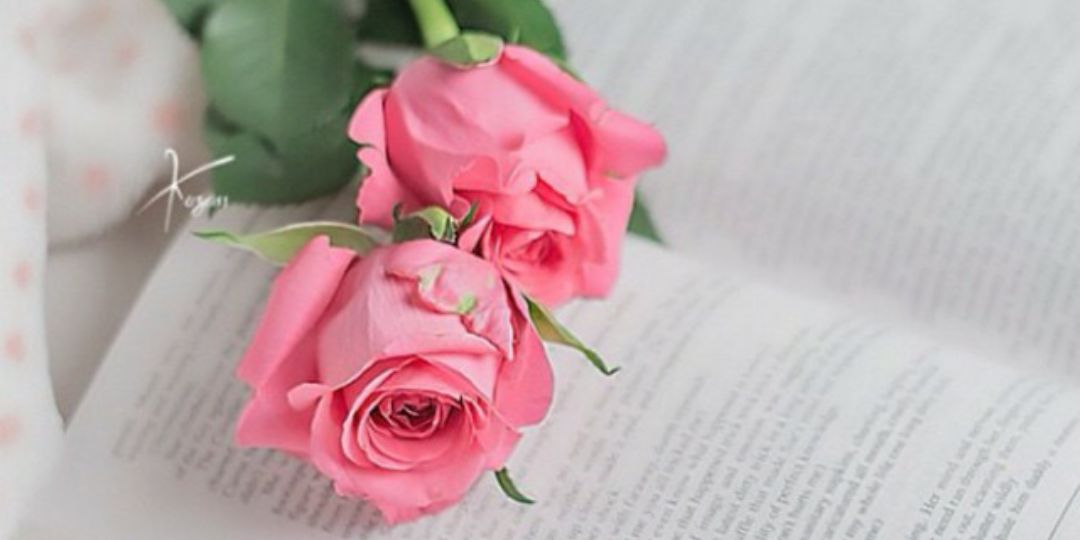 aso777om's profile banner image