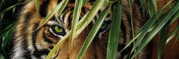 TheRealKendallO's profile banner image