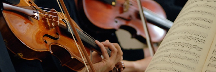 OrpingtonSO's profile banner image