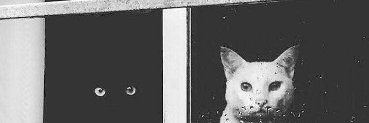 _iflyx's profile banner image