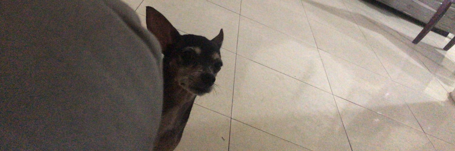 JessicaCoelho96's profile banner image