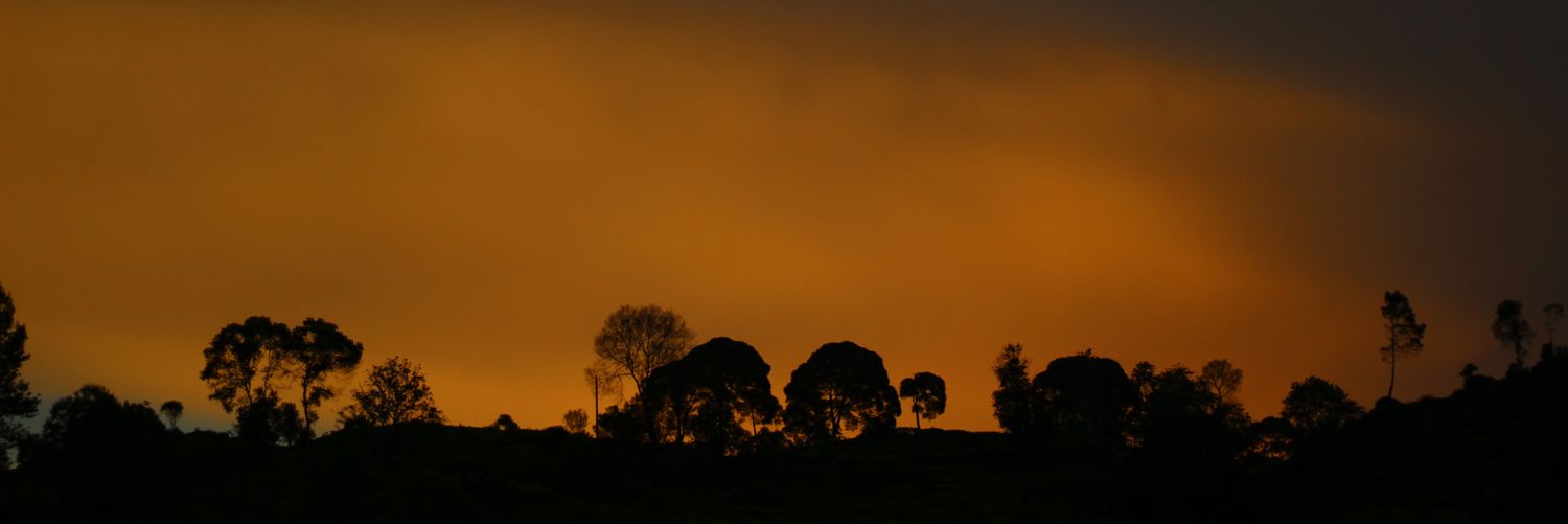 alimnafa's profile banner image