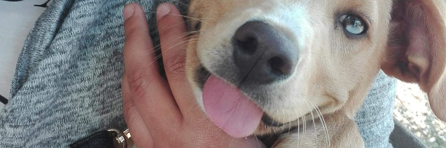 xxWeedo's profile banner image