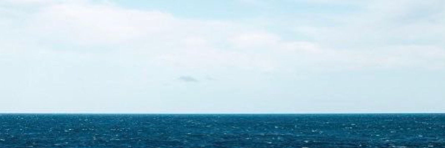 mimi 🇵🇸 banner