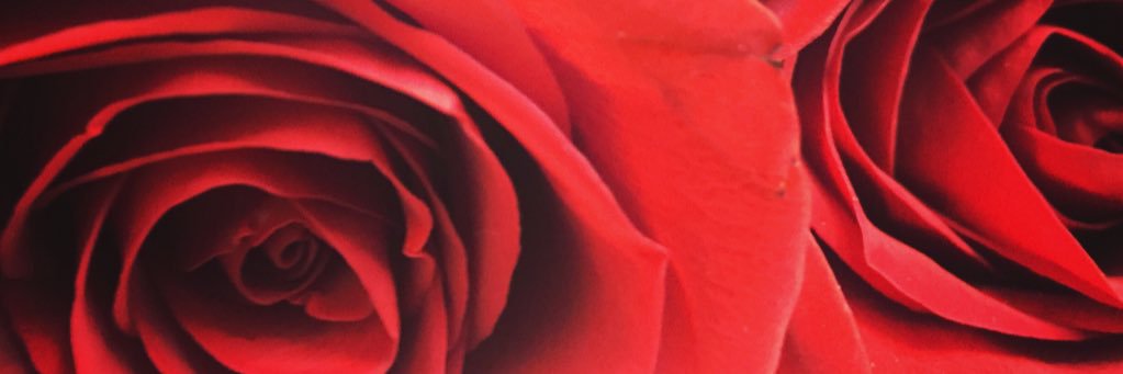 punkyamber's profile banner image