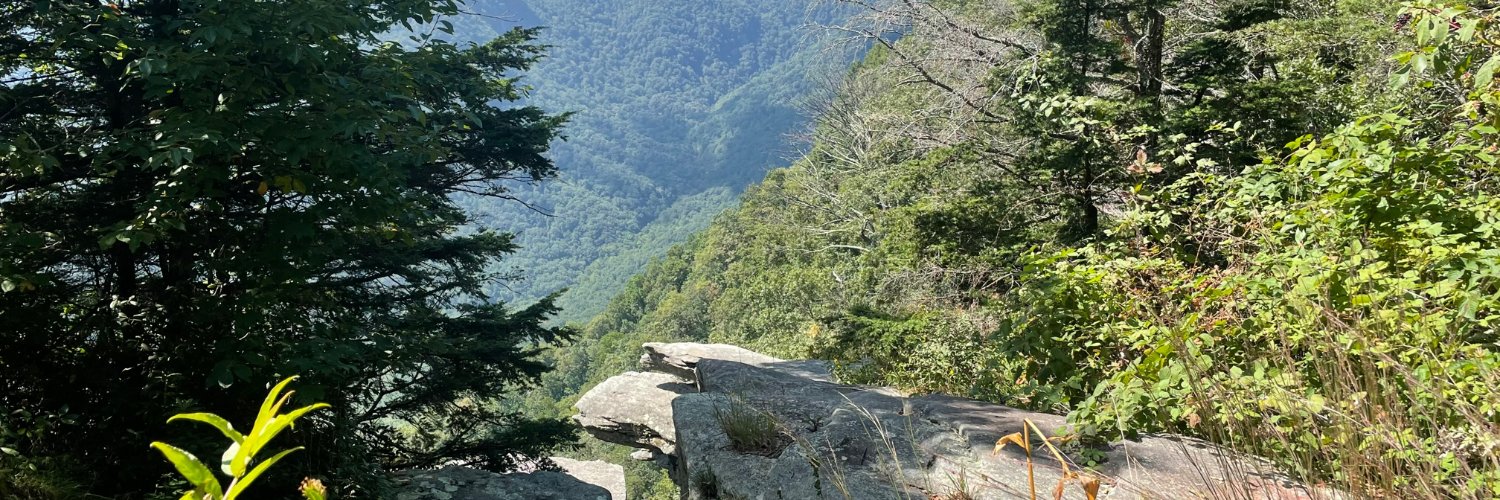 EricaNoelJoy's profile banner image