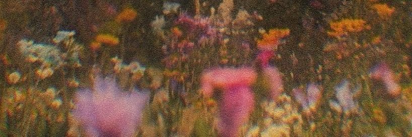 Toreeeeeeeey's profile banner image