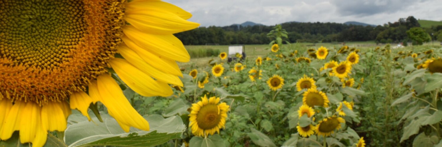 jmlinke's profile banner image