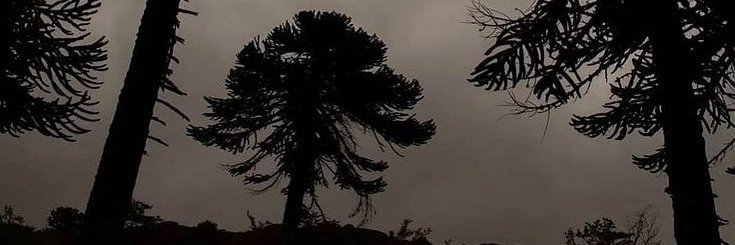 manuza71's profile banner image
