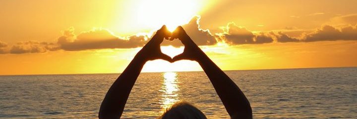 yasminyele's profile banner image
