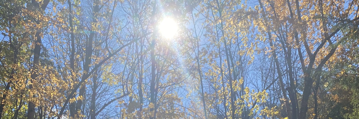 CrystalMWarner's profile banner image