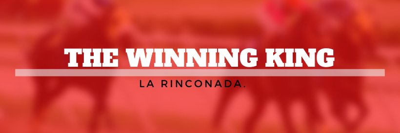 TheWinningK's profile banner image