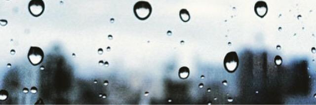 brunogilliard's profile banner image