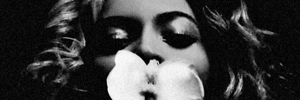 HabBeyonce's profile banner image