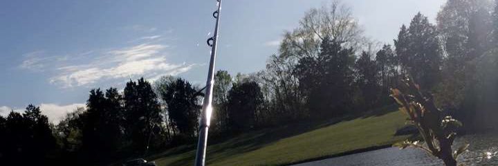 ShaferChlo's profile banner image