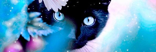 henron_'s profile banner image