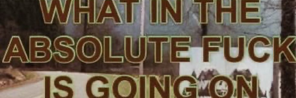 KatieKronewitte's profile banner image