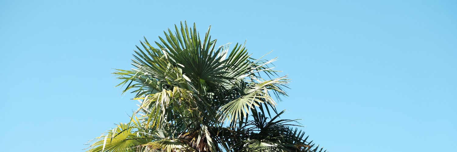 rodzhers's profile banner image