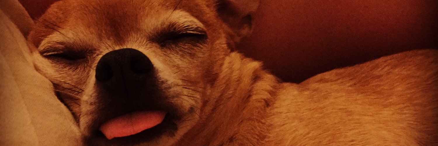 stevieolynn's profile banner image
