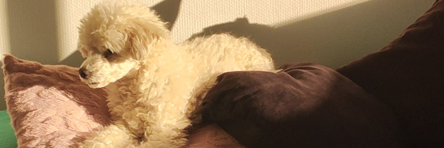 titina0718's profile banner image