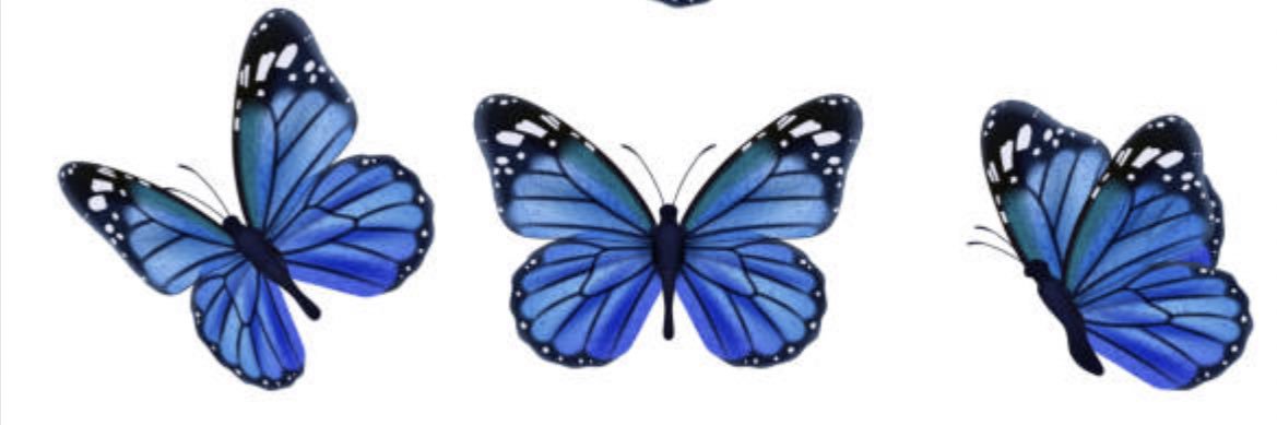 _kerminator's profile banner image