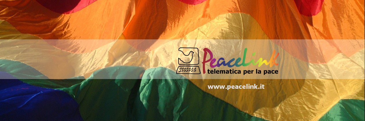 PeaceLink banner
